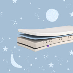 פנדה ג'וניור