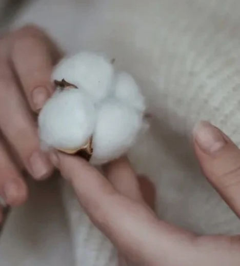 100% כותנה ל-100% רכות