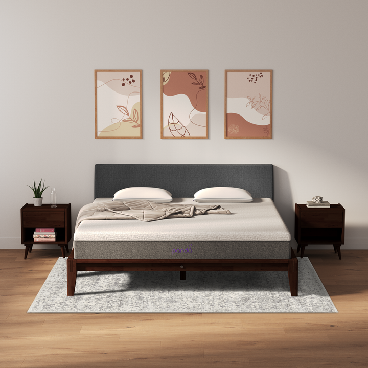 כרית גב Wallnut