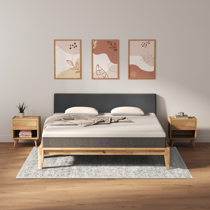 כרית גב Natural