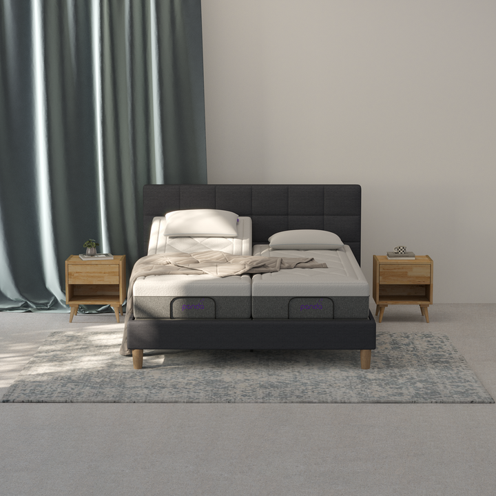 מיטת פנדה פרימיום