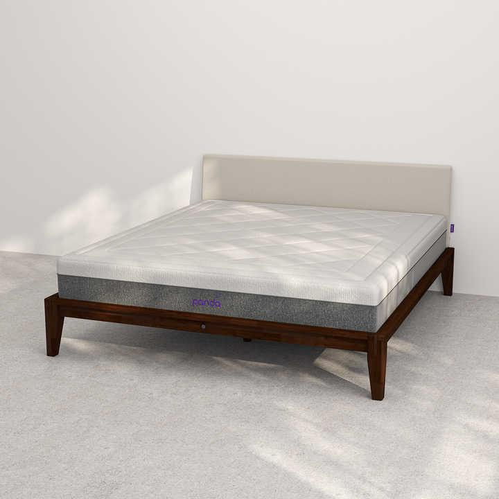 כרית גב Wallnut