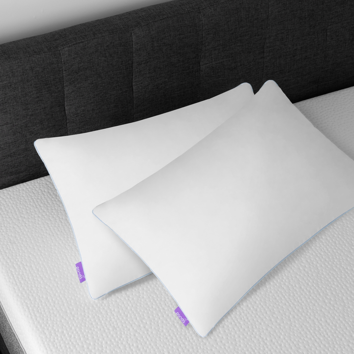 זוג כריות היברידיות