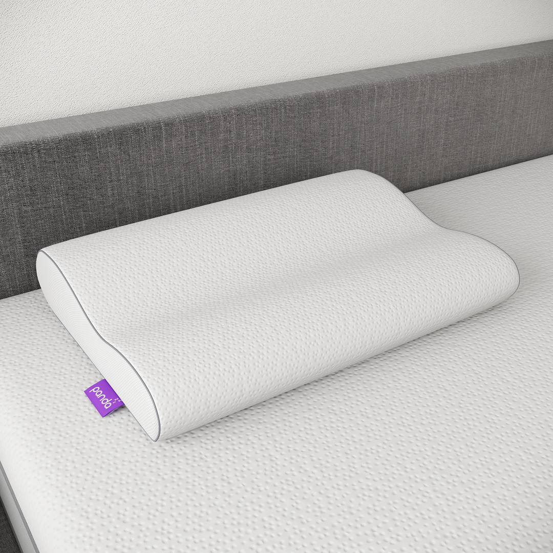 כרית פנדה PANDAZZZ