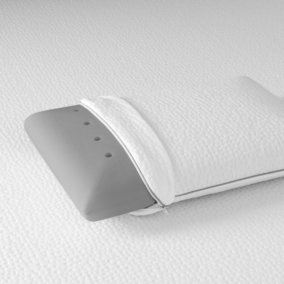 כרית פנדה PANDAZZZ