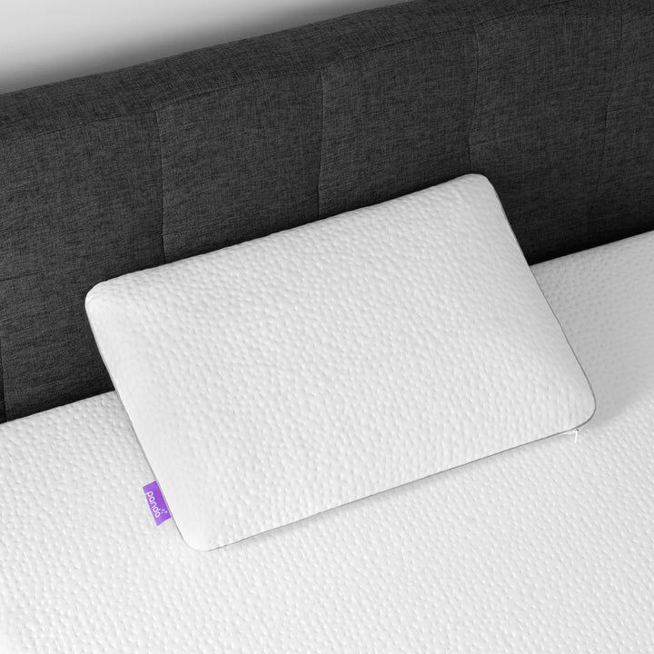 כרית פנדה PANDAZZZ