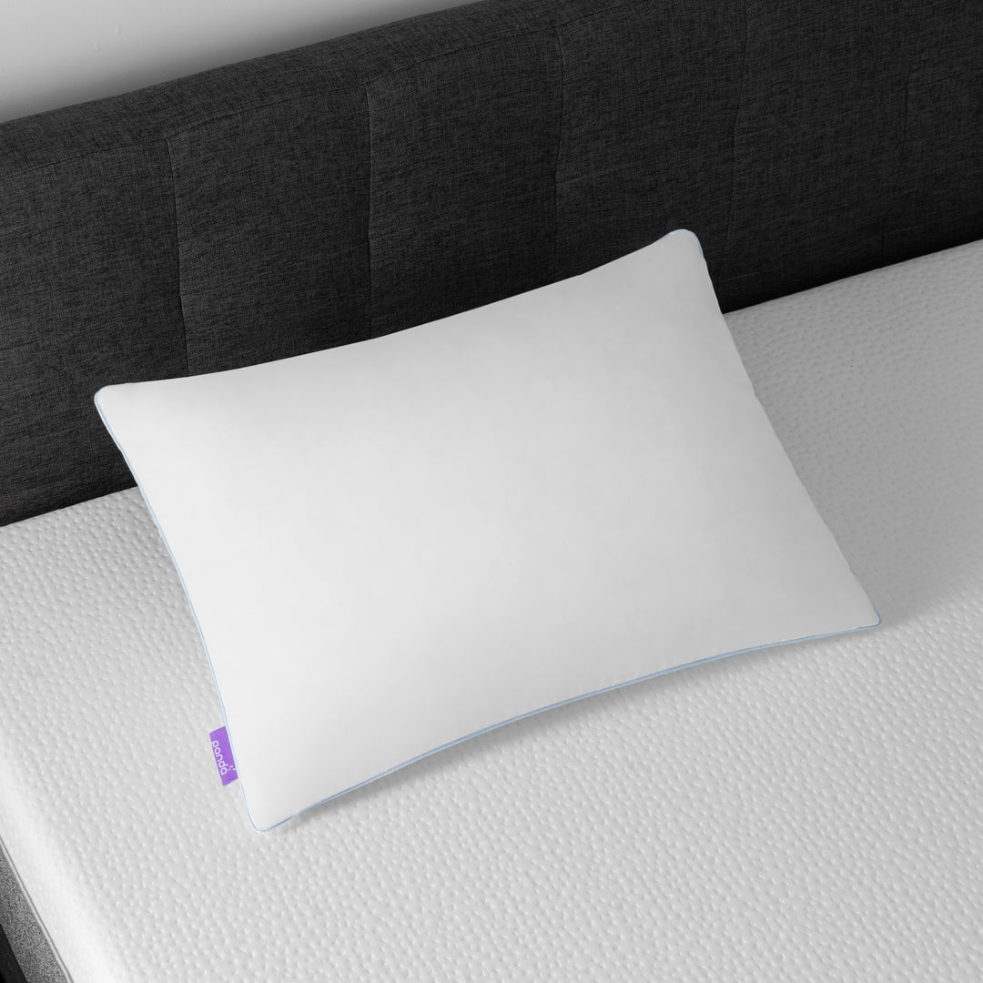 כרית פנדה PANDAZZZ