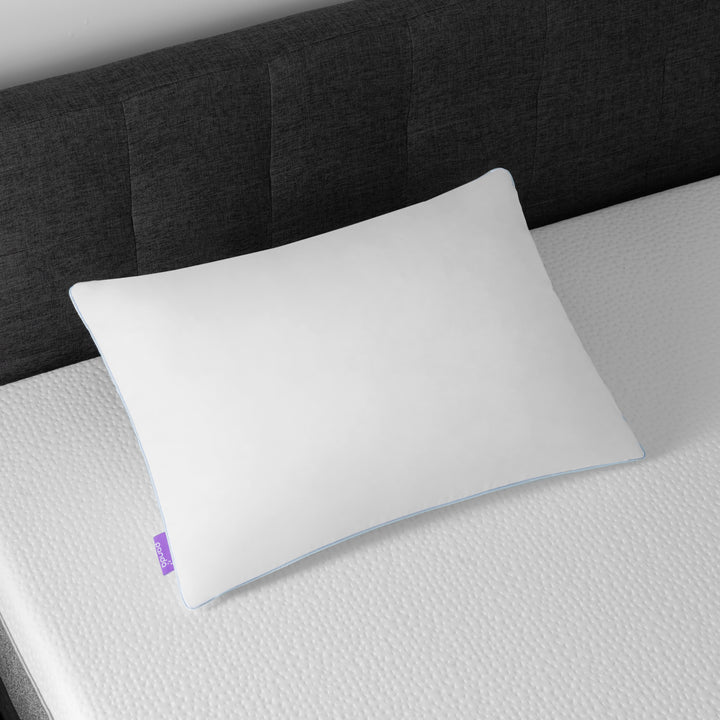 כרית פנדה PANDAZZZ