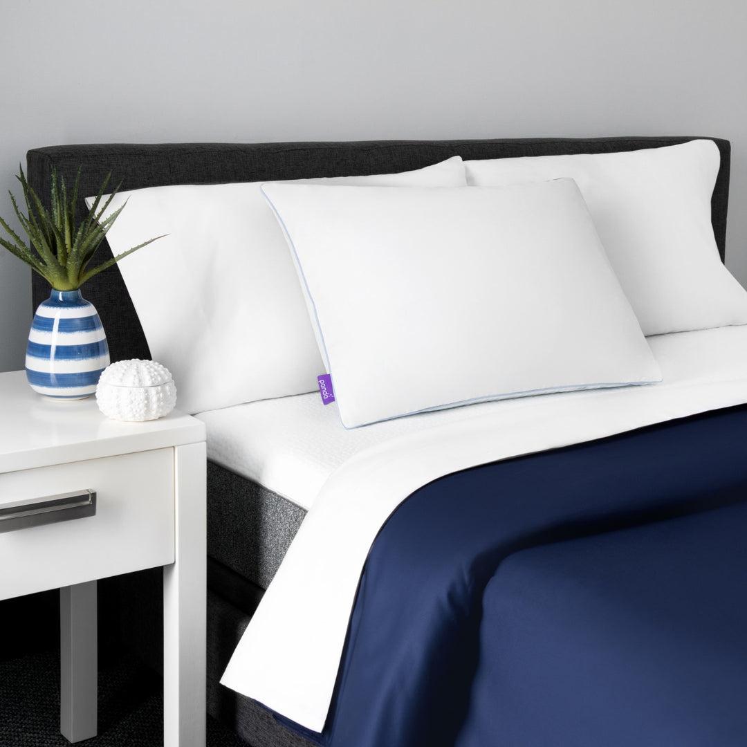 כרית פנדה PANDAZZZ