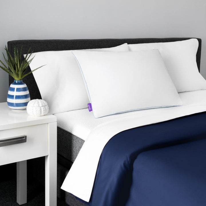 כרית פנדה PANDAZZZ