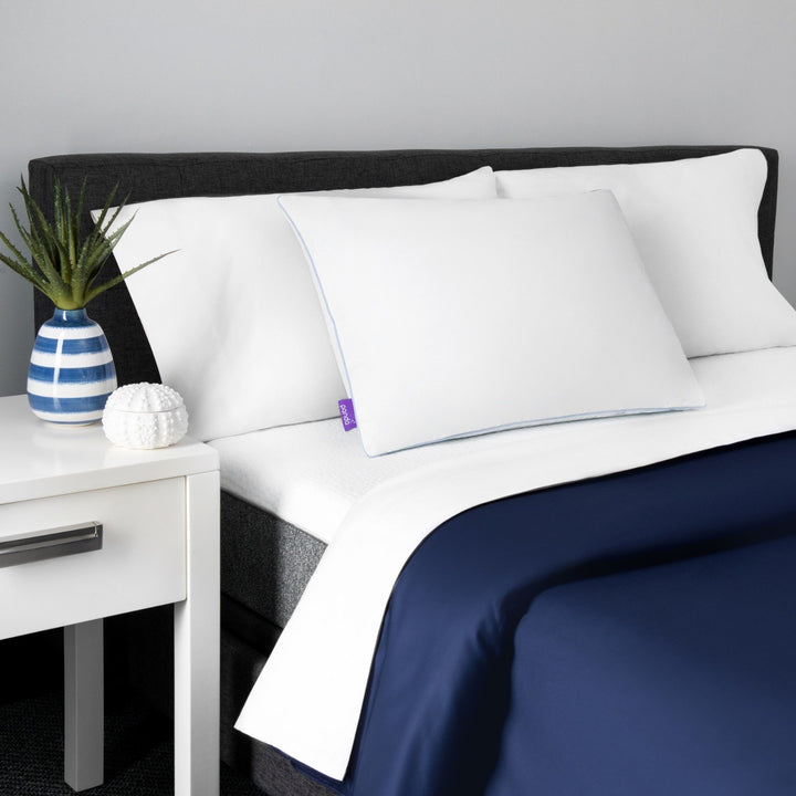 כרית פנדה PANDAZZZ